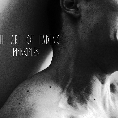 PRINCIPLES