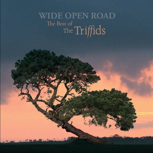 Wide Open Road - The Best of The Triffids