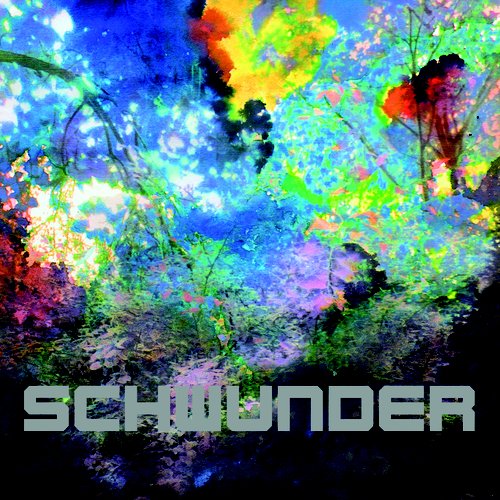 Schwunder