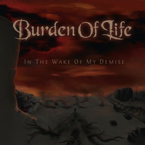 In The Wake of My Demise