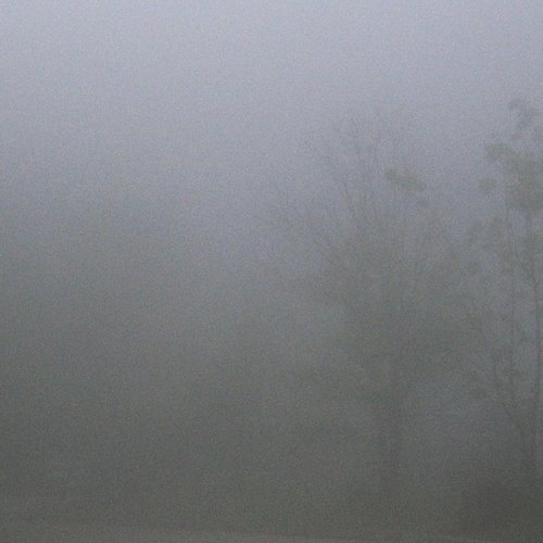 III - Single
