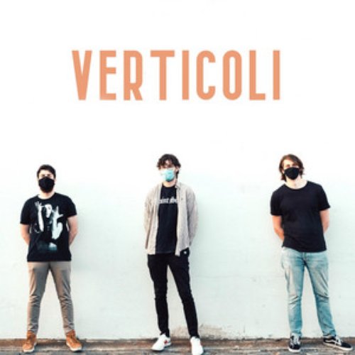 COVID covers - Single