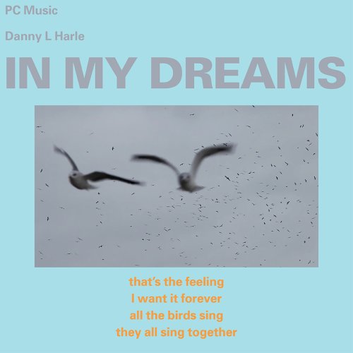 In My Dreams