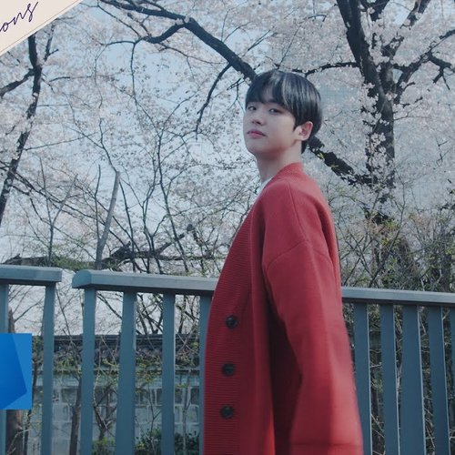 HONG Seasons #04 'Celebrity