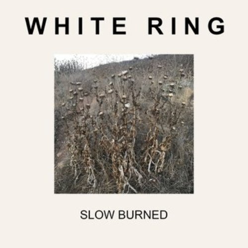 Slow Burned - Single