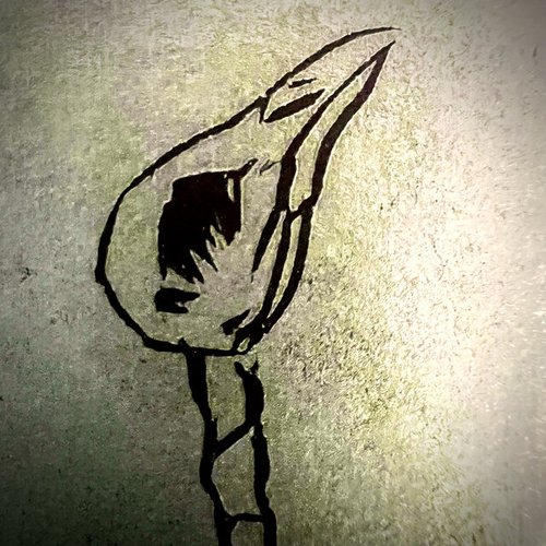 Petrified