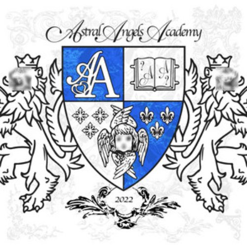 AA ACADEMY