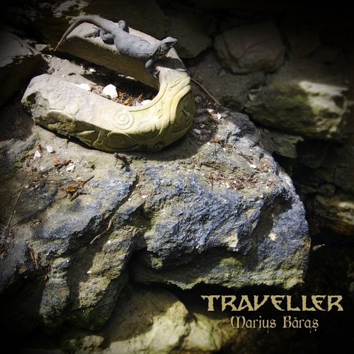 Traveller (ambiental)