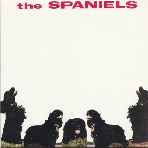 the spaniels