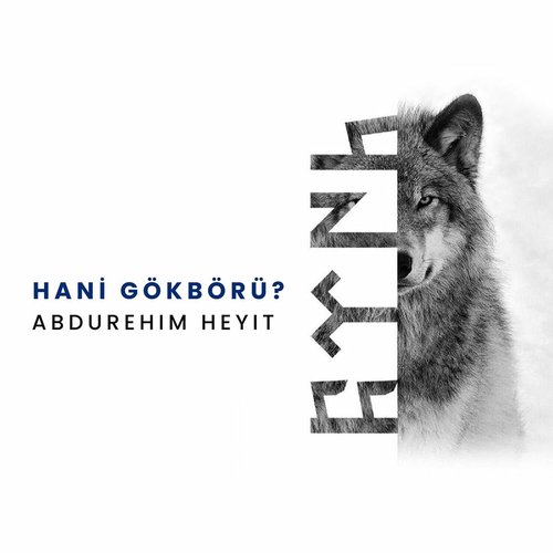 Hani Gökbörü?