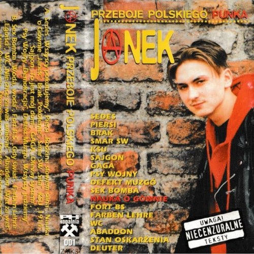 Przeboje Polskiego Punka: Janek