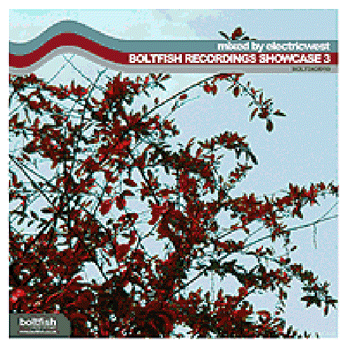 Boltfish Recordings Showcase 3