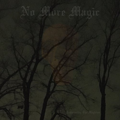 Introducing the Magician