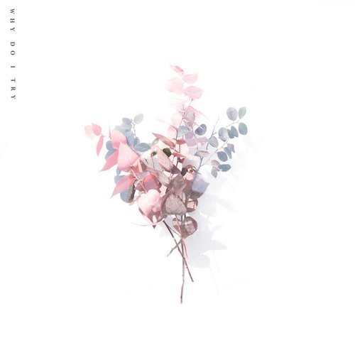 Why Do I Try - Single