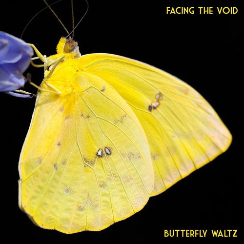 Butterfly Waltz