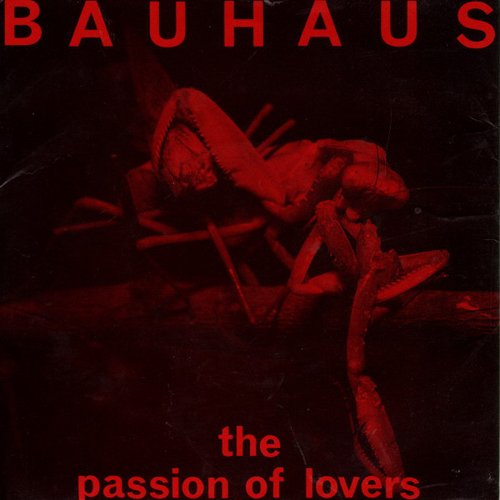The Passion of Lovers