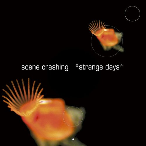 Strange Days/Korowai