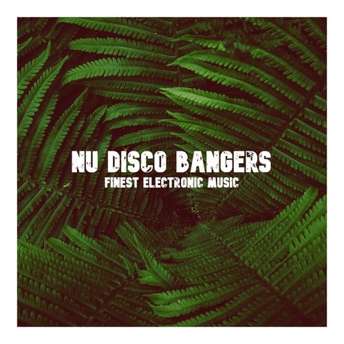 Nu Disco Banger