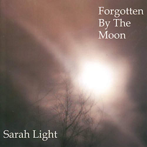 Forgotten By the Moon