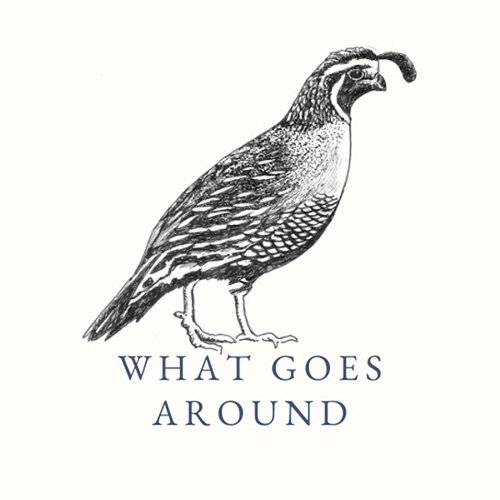 What Goes Around (feat. Lemon Sky) - Single