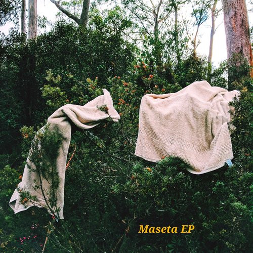 Maseta