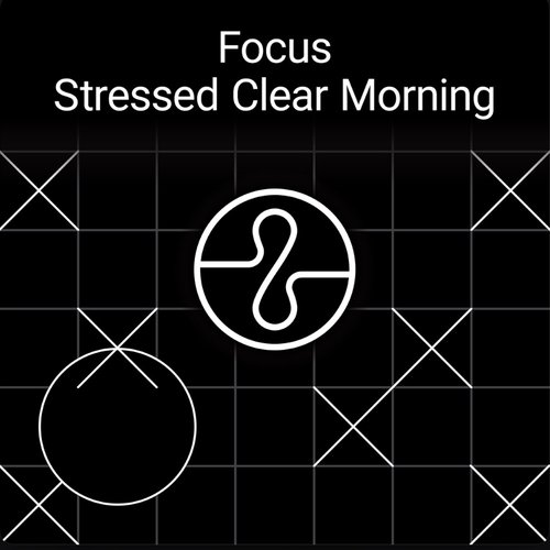 Focus: Stressed Clear Morning