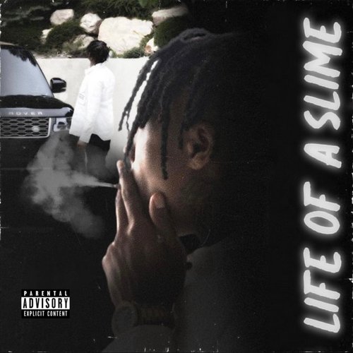 Life of a Slime