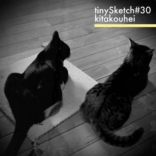 tinySketch #30