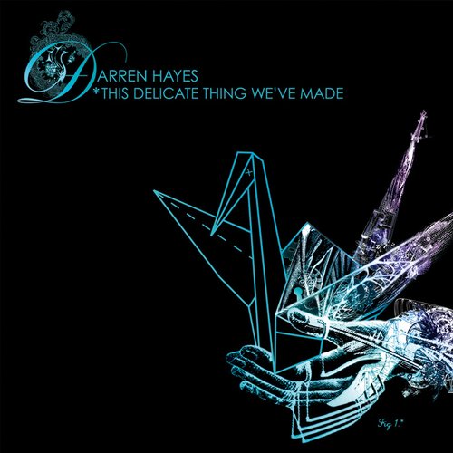 This Delicate Thing We've Made