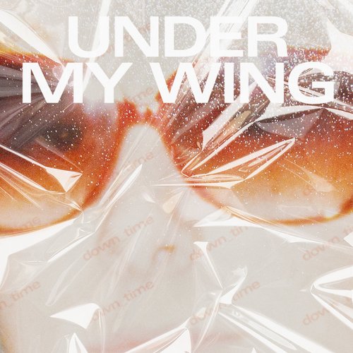 Under My Wing