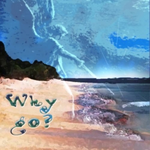 Why go
