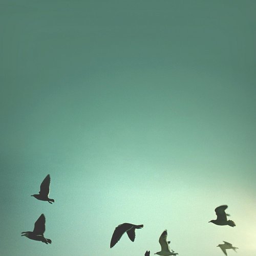 Breathe