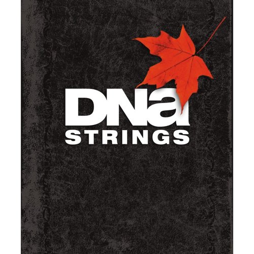 Dna strings band sale