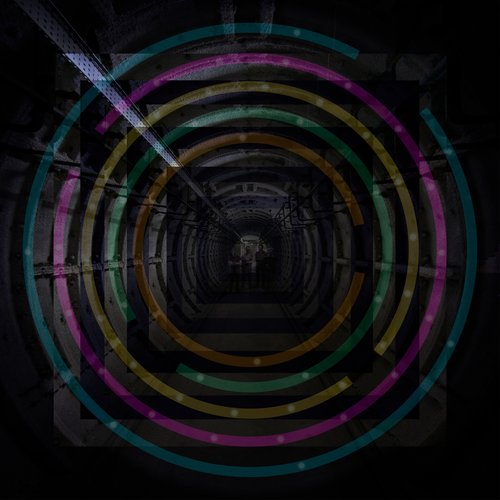 Hyperaccumulator