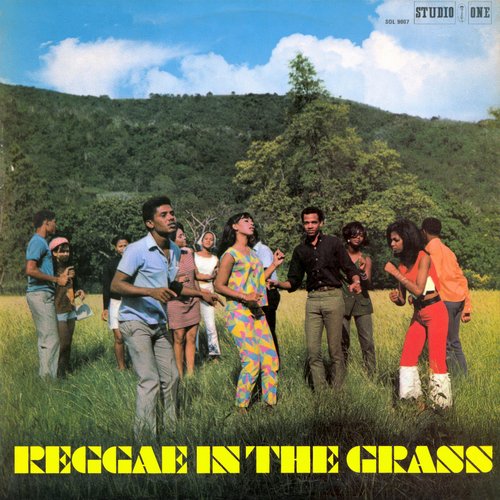 Reggae In The Grass