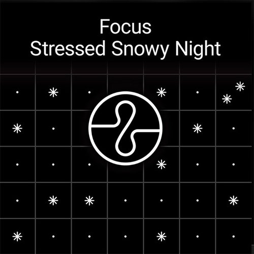 Focus: Stressed Snowy Night