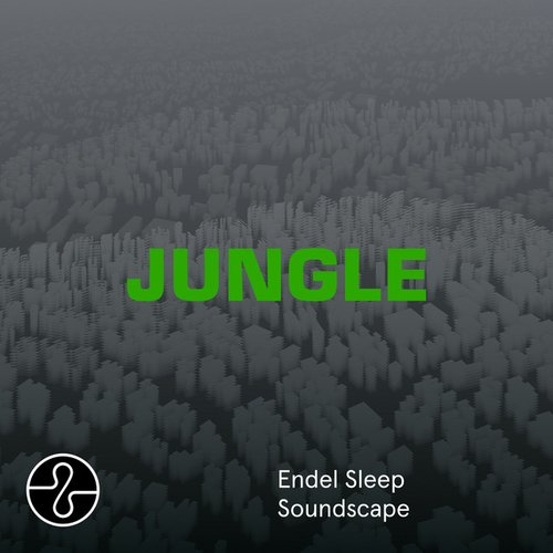 JUNGLE (Sleep Soundscape)