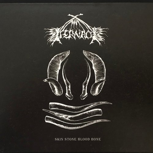 Skin Stone Blood Bone