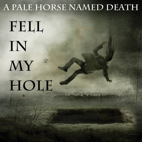 Fell in My Hole - Single
