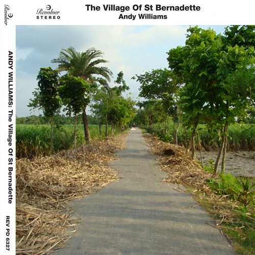 The Village of St Bernadette