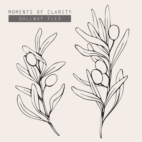 Moments of Clarity