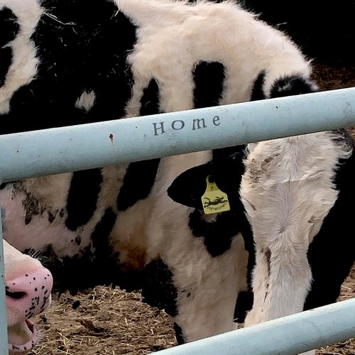 Home - Single