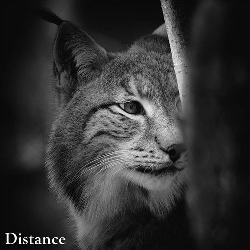 Distance
