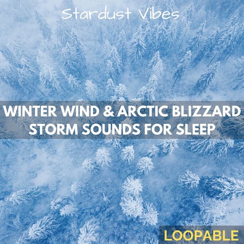 Winter Wind & Arctic Blizzard Storm Sounds for Sleep (Loopable)