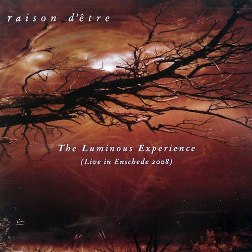 The Luminous Experience (Live in Enschede 2008)