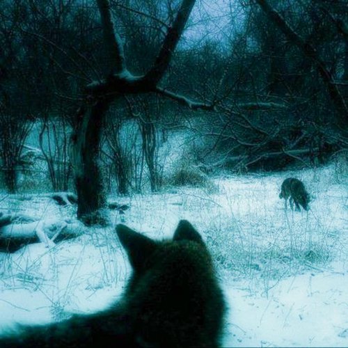 Dark Fantasy