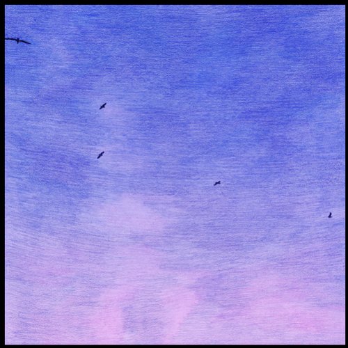 In My Dreams (I'm A Bird And I'm Free)