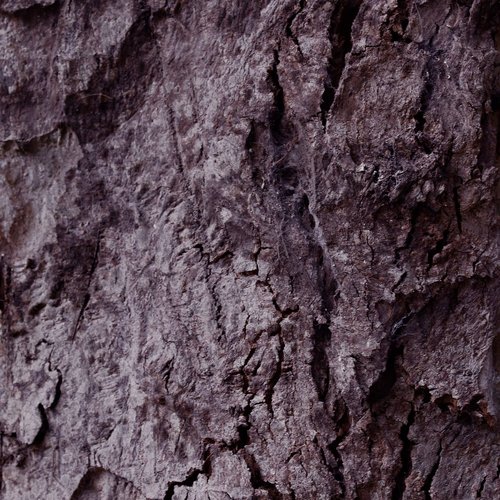 IFDVC Single