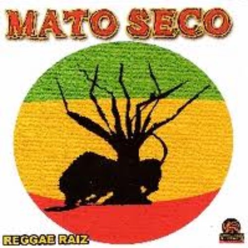 Reggae Raiz