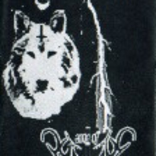 Of Wolfstorms and Black Hearts